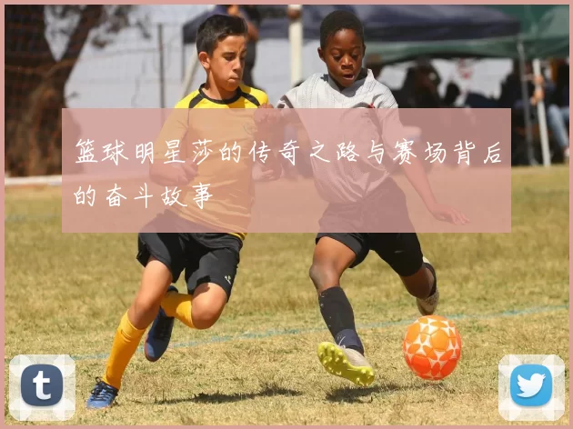 篮球明星莎的传奇之路与赛场背后的奋斗故事